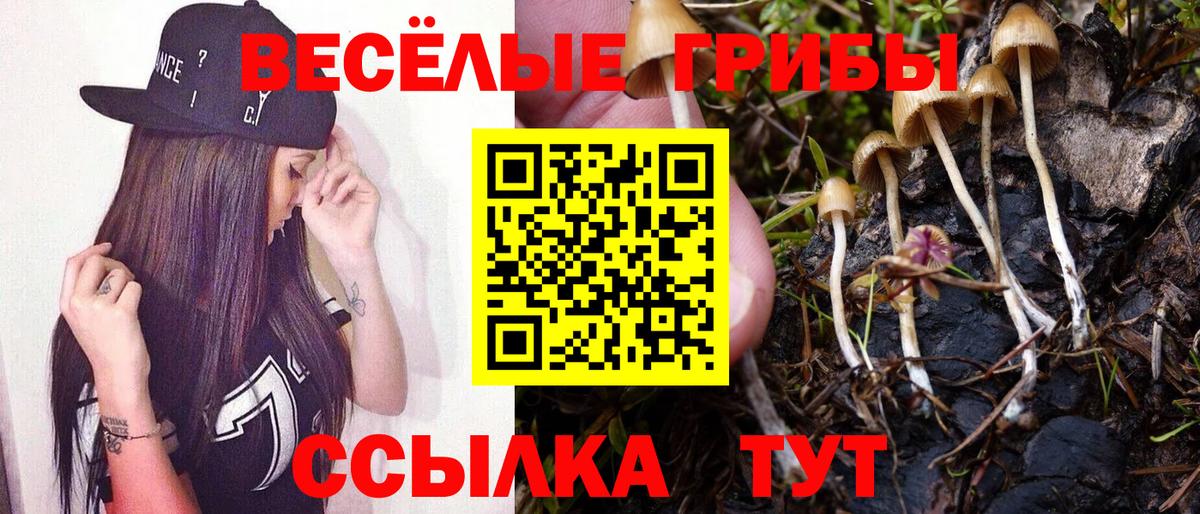 Псилоцибиновые грибы Cubensis Изобильный
